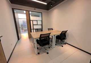 写字楼绿植花卉措施