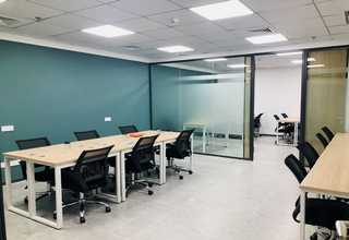 西藏羊布病检测卡多少钱