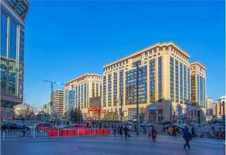 浦东新区酒店绿植花卉租赁供应