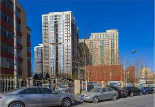 萧山区花卉植物出租价格